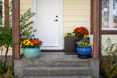Fall flowers decorate the front door stoop of a house. Planters filled with fall colors make a perfect entryway clipart