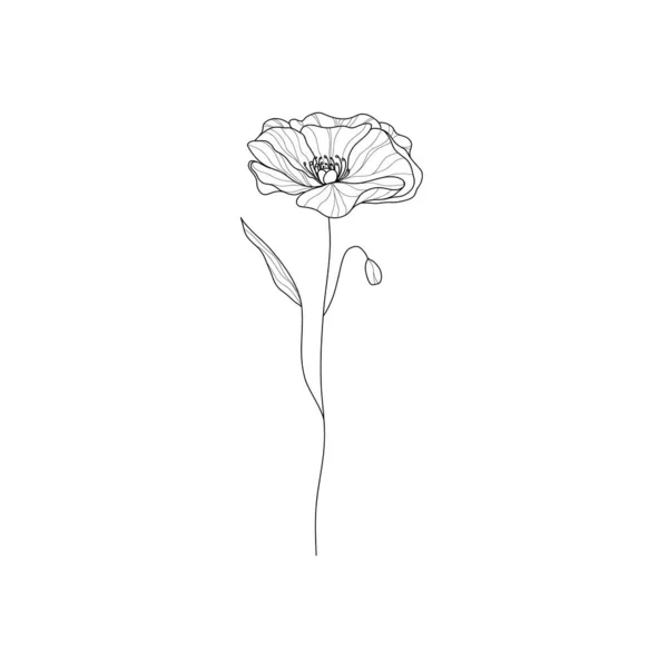 Poppies Fleur Ligne Art Simple Fleur Pavot Dessinée Main Gribouillage — Image vectorielle