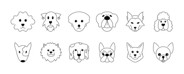 狗的漫画风格 可爱的小狗不同的品种 涂鸦狗面对人物 家养宠物的概念 矢量设计 — 图库矢量图片