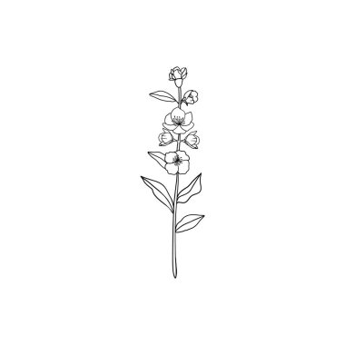 Minimalist linear jasmine flower branch. Small ornamental floral element, fine line botanical tattoo sketch. Vector design. clipart