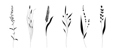 Minimum botanik çiçek dalı siluetleri. El yapımı yapraklar, düğün davetiyeleri için basit dekoratif unsurlar..