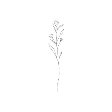 Minimalist çiçek çizgisi sanatı. Soyut botanik dekoratif öğeler, modern botanik çizimi, çiçek dövmesi tasarımı. Vektör izole illüstrasyonu.