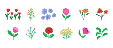 Bahar rengarenk çiçek elementlerinin toplanması. Soyut çiçek dekoratif ikonlar, güzel el çizimi çiçek desenli dekoratif elementler. Vektör izole edildi.