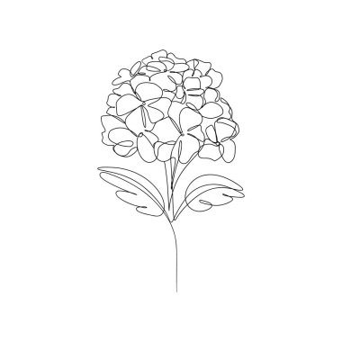 Ortanca çiçeği bir çizgi çiziyor. Soyut asgari çiçekli siluet, sürekli çizim yapan çiçek açan bitki. Vektör zarif logo izole tasarımı.