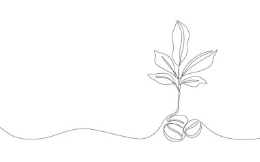 Devamlı tek sıra kahve çekirdeği. Yapraklı soyut kahve çekirdekleri, basit kahve dükkanı sembolü, kafein içeceği logosu grafik tasarımı. Minimalist vektör illüstrasyonu.