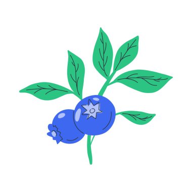 Yabanmersini dalı. Olgun böğürtlen ve yeşil yapraklı karikatür yaban mersini çalısı, paket etiketi tasarımı için düz dut ikonu. Vektör izole illüstrasyonu.