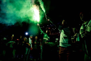 Palmeiras takımı Brezilya Futbol Şampiyonası şampiyonudur. 2 Kasım 2022, Sao Paulo, Brezilya: Palmeiras ve Fortaleza arasındaki futbol maçı, Allianz Parque Stadyumu 'nda düzenlenen 35.