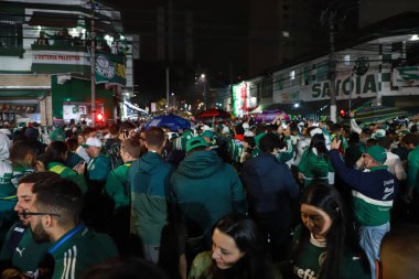 Palmeiras takımı Brezilya Futbol Şampiyonası şampiyonudur. 2 Kasım 2022, Sao Paulo, Brezilya: Palmeiras ve Fortaleza arasındaki futbol maçı, Allianz Parque Stadyumu 'nda düzenlenen 35.