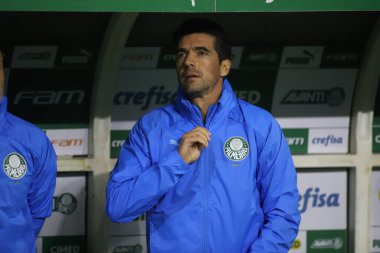 Palmeiras takımı Brezilya Futbol Şampiyonası şampiyonudur. 2 Kasım 2022, Sao Paulo, Brezilya: Palmeiras ve Fortaleza arasındaki futbol maçı, Allianz Parque Stadyumu 'nda düzenlenen 35.