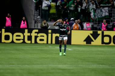 Palmeiras takımı Brezilya Futbol Şampiyonası şampiyonudur. 2 Kasım 2022, Sao Paulo, Brezilya: Palmeiras ve Fortaleza arasındaki futbol maçı, Allianz Parque Stadyumu 'nda düzenlenen 35.