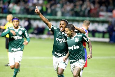 Palmeiras takımı Brezilya Futbol Şampiyonası şampiyonudur. 2 Kasım 2022, Sao Paulo, Brezilya: Palmeiras ve Fortaleza arasındaki futbol maçı, Allianz Parque Stadyumu 'nda düzenlenen 35.