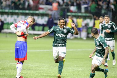 Palmeiras takımı Brezilya Futbol Şampiyonası şampiyonudur. 2 Kasım 2022, Sao Paulo, Brezilya: Palmeiras ve Fortaleza arasındaki futbol maçı, Allianz Parque Stadyumu 'nda düzenlenen 35.