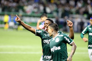 Palmeiras takımı Brezilya Futbol Şampiyonası şampiyonudur. 2 Kasım 2022, Sao Paulo, Brezilya: Palmeiras ve Fortaleza arasındaki futbol maçı, Allianz Parque Stadyumu 'nda düzenlenen 35.