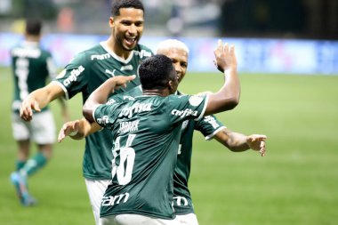 Palmeiras takımı Brezilya Futbol Şampiyonası şampiyonudur. 2 Kasım 2022, Sao Paulo, Brezilya: Palmeiras ve Fortaleza arasındaki futbol maçı, Allianz Parque Stadyumu 'nda düzenlenen 35.