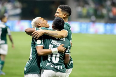 Palmeiras takımı Brezilya Futbol Şampiyonası şampiyonudur. 2 Kasım 2022, Sao Paulo, Brezilya: Palmeiras ve Fortaleza arasındaki futbol maçı, Allianz Parque Stadyumu 'nda düzenlenen 35.