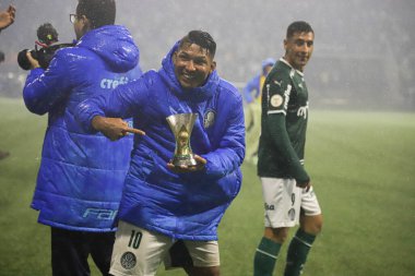 Palmeiras takımı Brezilya Futbol Şampiyonası şampiyonudur. 2 Kasım 2022, Sao Paulo, Brezilya: Palmeiras ve Fortaleza arasındaki futbol maçı, Allianz Parque Stadyumu 'nda düzenlenen 35.