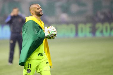 Palmeiras takımı Brezilya Futbol Şampiyonası şampiyonudur. 2 Kasım 2022, Sao Paulo, Brezilya: Palmeiras ve Fortaleza arasındaki futbol maçı, Allianz Parque Stadyumu 'nda düzenlenen 35.