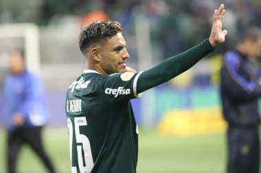 Palmeiras takımı Brezilya Futbol Şampiyonası şampiyonudur. 2 Kasım 2022, Sao Paulo, Brezilya: Palmeiras ve Fortaleza arasındaki futbol maçı, Allianz Parque Stadyumu 'nda düzenlenen 35.