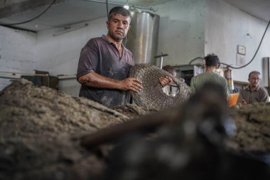 Zeytin eski yollara baskı yapıyor. 2 Kasım 2022, Gazze, Filistin: Gazze 'deki Filistinliler eski makineleri kullanarak zeytin basıyorlar, ve bu meslek atalarından miras kaldı ve bir gelir kaynağı olarak kabul ediliyor.