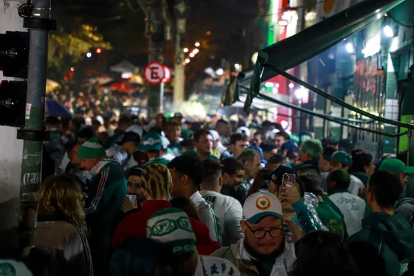 Tým Palmeiras Šampiónem Brazilského Fotbalového Mistrovství Listopadu 2022 Sao Paulo — Stock fotografie
