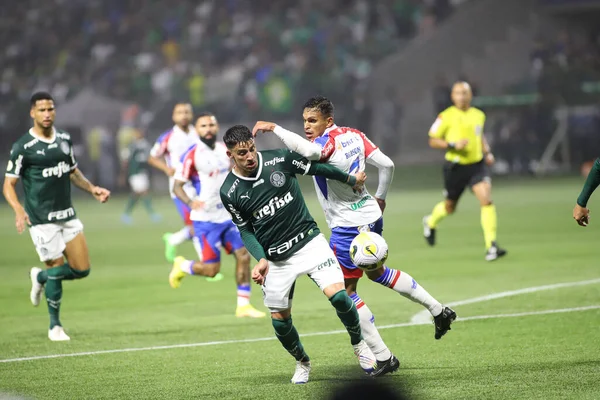 Palmeiras Csapat Brazil Labdarúgó Bajnokság Bajnoka 2022 November Sao Paulo — Stock Fotó