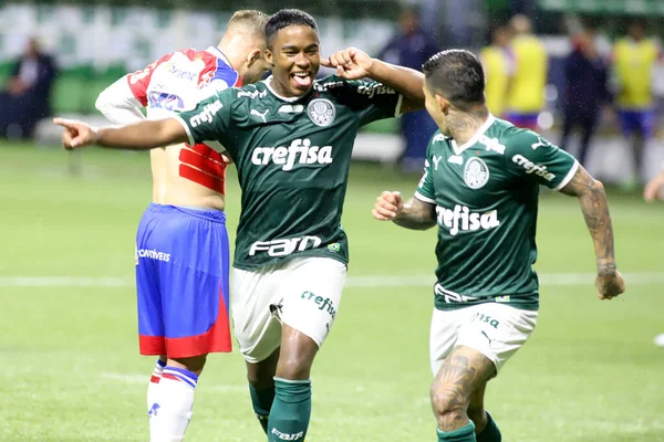 Équipe Palmeiras Est Championne Championnat Brésilien Football Novembre 2022 Sao — Photo