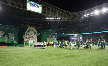 Brezilya Futbol Şampiyonası: Palmeiras Amerika-MG 'ye karşı. 9 Kasım 2022, Sao Paulo, Brezilya: Palmeiras takımı Amerika-MG' ye karşı oynanan final maçında Brezilya şampiyonu unvanını kutluyor