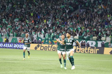 Brezilya Futbol Şampiyonası: Palmeiras Amerika-MG 'ye karşı. 9 Kasım 2022, Sao Paulo, Brezilya: Palmeiras takımı Amerika-MG' ye karşı oynanan final maçında Brezilya şampiyonu unvanını kutluyor