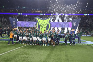 Brezilya Futbol Şampiyonası: Palmeiras Amerika-MG 'ye karşı. 9 Kasım 2022, Sao Paulo, Brezilya: Palmeiras takımı Amerika-MG' ye karşı oynanan final maçında Brezilya şampiyonu unvanını kutluyor