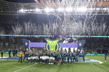 Brezilya Futbol Şampiyonası: Palmeiras Amerika-MG 'ye karşı. 9 Kasım 2022, Sao Paulo, Brezilya: Palmeiras takımı Amerika-MG' ye karşı oynanan final maçında Brezilya şampiyonu unvanını kutluyor