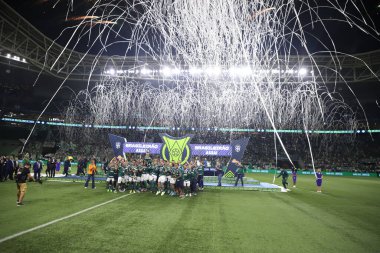 Brezilya Futbol Şampiyonası: Palmeiras Amerika-MG 'ye karşı. 9 Kasım 2022, Sao Paulo, Brezilya: Palmeiras takımı Amerika-MG' ye karşı oynanan final maçında Brezilya şampiyonu unvanını kutluyor