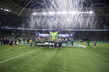 Brezilya Futbol Şampiyonası: Palmeiras Amerika-MG 'ye karşı. 9 Kasım 2022, Sao Paulo, Brezilya: Palmeiras takımı Amerika-MG' ye karşı oynanan final maçında Brezilya şampiyonu unvanını kutluyor