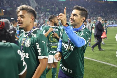 Brezilya Futbol Şampiyonası: Palmeiras Amerika-MG 'ye karşı. 9 Kasım 2022, Sao Paulo, Brezilya: Palmeiras takımı Amerika-MG' ye karşı oynanan final maçında Brezilya şampiyonu unvanını kutluyor