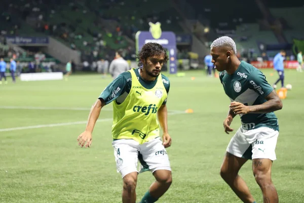 Чемпионат Бразилии Футболу Palmeiras America Ноября 2022 Года Сан Паулу — стоковое фото