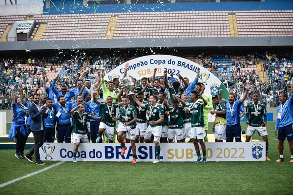 Brésil Coupe Football Des Moins Ans Palmeiras Flamengo Novembre 2022 — Photo