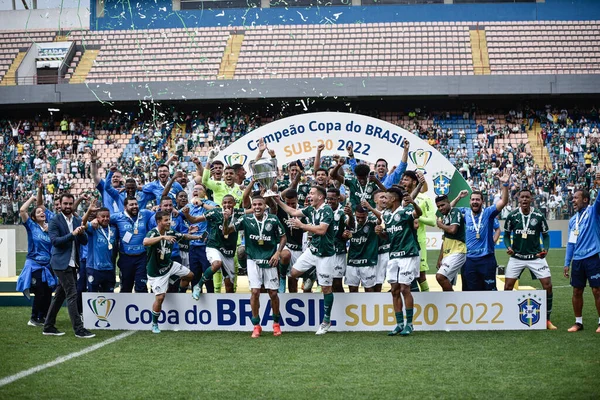 Brasilianischer U20 Fußball Cup Palmeiras Gegen Flamengo November 2022 Barueri — Stockfoto