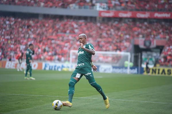 Чемпіонат Бразилії Футболу Internacional Palmeiras Листопада 2022 Порту Алегре Ріу — стокове фото
