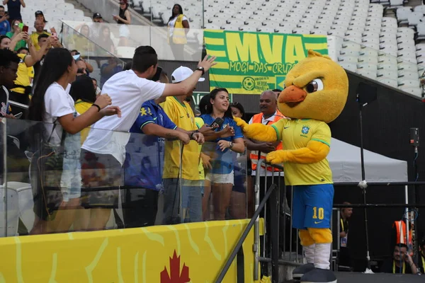 女子サッカー ブラジルとカナダの親善試合 2022年11月15日ブラジル サンパウロ ブラジルとカナダのチームがサッカー試合をサンパウロのネオキミカアリーナスタジアムで開催 — ストック写真
