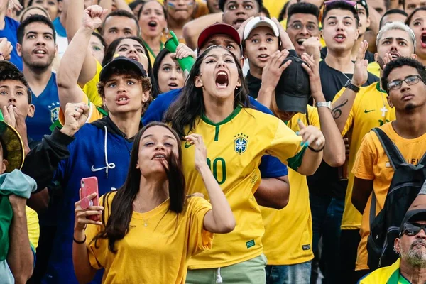 Fifaワールドカップカタール2022 ファンはブラジル対セルビアの試合をグアドルホスのマイア ファン フェスタで観戦する 2022年11月14日 ブラジル サンパウロ州グールホス サンパウロのグールホスにあるボスク マイア公園では ブラジルの試合を放送するマイア — ストック写真