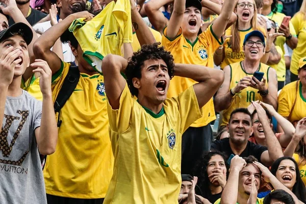 Fifaワールドカップカタール2022 ファンはブラジル対セルビアの試合をグアドルホスのマイア ファン フェスタで観戦する 2022年11月14日 ブラジル サンパウロ州グールホス サンパウロのグールホスにあるボスク マイア公園では ブラジルの試合を放送するマイア — ストック写真