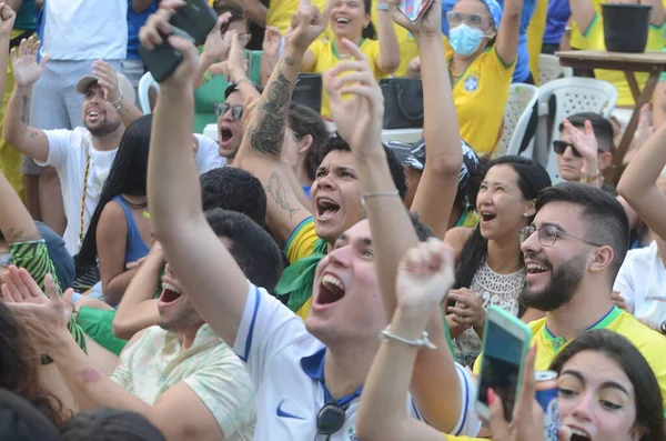 Tifosi Guardano Partita Tra Brasile Corea Turno Della Coppa Del — Foto Stock