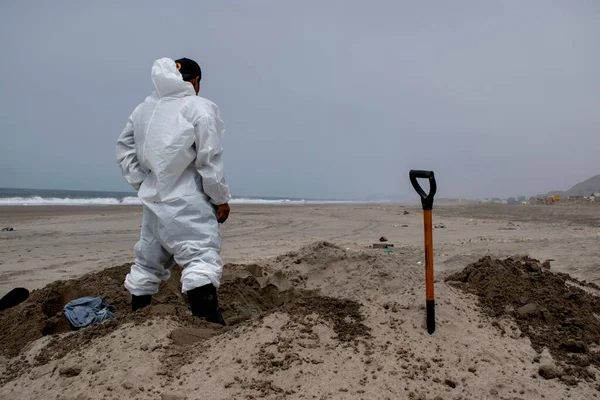 stock image The outbreak of avian influenza in Lima. December 6, 2022, Lima, Peru: The Mayor of the District of Miraflores (Lima), Luis Molina Arles, announced as of today the restriction of bathers' access to the eight beaches in the district