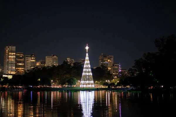 Sao Paulo Daki Ibirapuera Parkı Nda Noel Ağacı Aralık 2022 — Stok fotoğraf