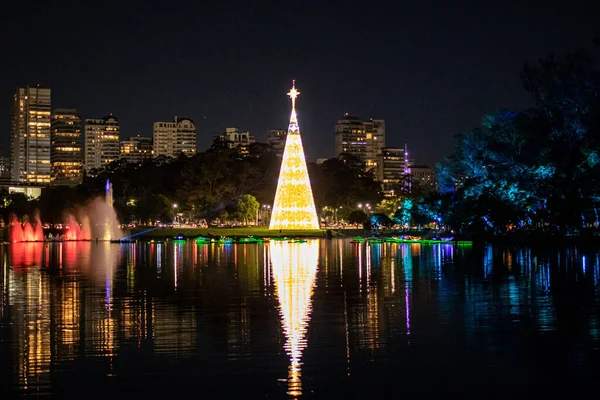 Weihnachtsbaum Ibirapuera Park Sao Paulo Dezember 2022 Sao Paulo Brasilien — Stockfoto