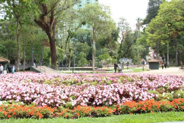 Curitiba 'nın kaldırımında insanların hareketi. 22 Aralık 2022, Brezilya, Parana, Curitiba: Passeio Publico 'da ilerlemek ve çocukların çoğunun okul tatilinde olduğu zaman. 