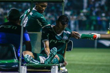 Semifinal Sao Paulo Cup between Palmeiras and Goias. January 21, 2023, Sao Paulo, Brazil: Soccer match between Palmeiras and Goias, valid for the semifinal of the Sao Paulo Junior Football Cup 2023, held at Allianz Parque Stadium