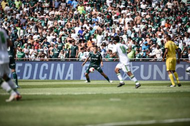 Sao Paulo Junior Soccer Championship 2023 Final: Palmeiras vs America MG. January 25, 2023, Sao Paulo, Brazil: Soccer match between Palmeiras and America-MG, valid for the 2023 Sao Paulo Junior Football Cup final