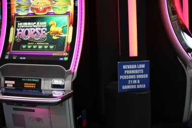 Heavy movement of passengers at Las Vegas International Airport. February 06, 2023, Las Vegas, Nevada, USA: There is a heavy movement of passengers at Las Vegas International Airport on Monday (06) with long line of people everywhere