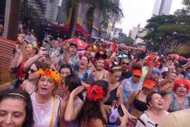 Ritaleena Block Carnival in Sao Paulo. February 11, 2023, Sao Paulo, Brazil: The Ritaleena Block which honors singer Rita Lee playing her hits in a carnival rhythm, drew thousands of revelers dressed up colorfully, singing and dancing 