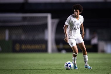 Brazilian Women Soccer Championship: Santos vs Flamengo. February 24, 2023, Santos, Sao Paulo, Brazil: Fabi Simoes of Santos during a soccer match against Flamengo valid for Brazilian Women Soccer Championship held at Vila Belmiro, in Santos